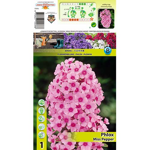 Aedfloks Miss Pepper interface.image 1 interface.art 70446