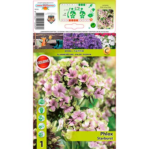 Aedfloks Starburst interface.art foto 1 Aedfloks Starburst interface.image 1 interface.art 76349