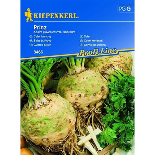 Aedseller Prinz interface.art foto 1 Aedseller Prinz interface.image 1 interface.art 86526