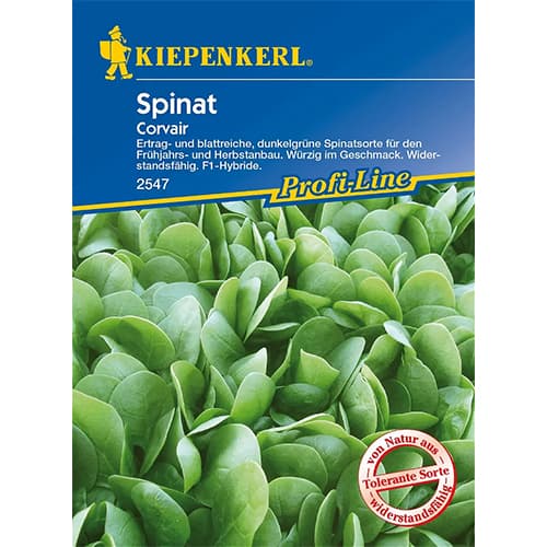 Aedspinat Corvair F1 Kiepenkerl interface.image 1 interface.art 86533