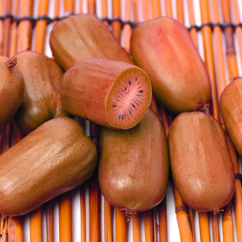 Aktiniidia Ken’s Red, P9 interface.image 1 interface.art 9240