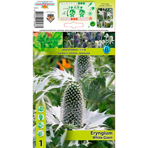 Alpi ogaputk White Giant interface.art foto 1 Alpi ogaputk White Giant interface.image 1 interface.art 76233