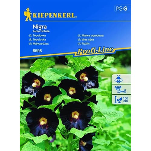 Alteed Nigra interface.art foto 1 Alteed Nigra interface.image 1 interface.art 86234