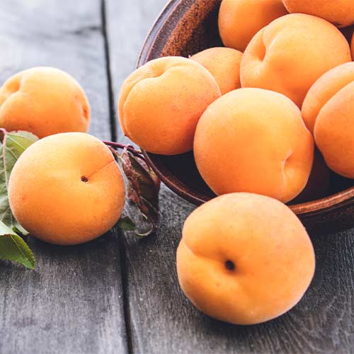 Aprikoos Anubis interface.image 1 interface.art 4856