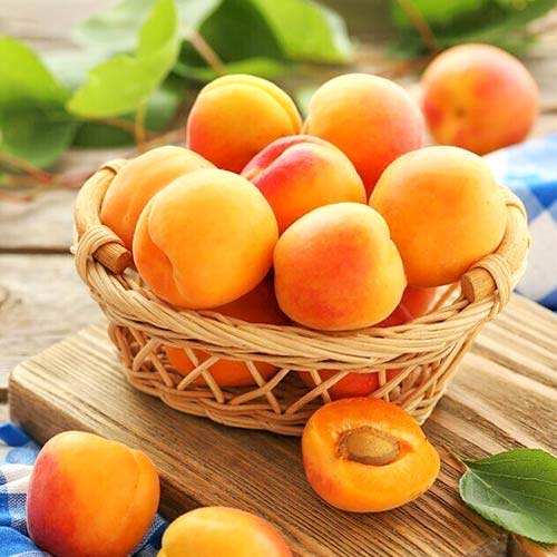 Aprikoos Diamond, С2 interface.image 1 interface.art 4277