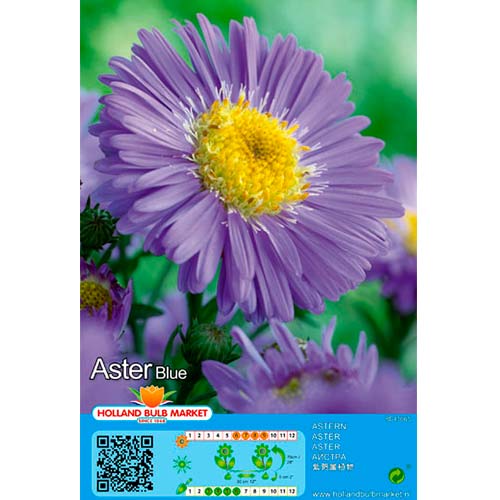 Aster Blue interface.image 1 interface.art 76371