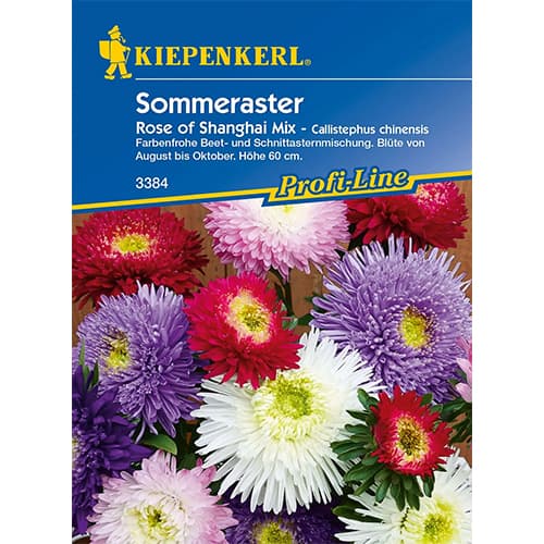 Astrid Rose of Shanghai interface.image 1 interface.art 86317