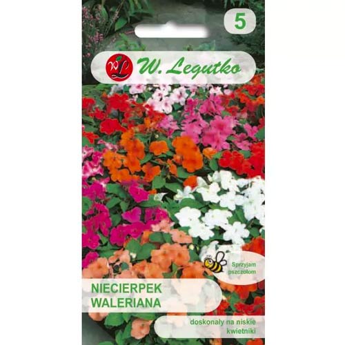 Balsamiin-lemmaltsad Valerian F2, segu Legutko interface.art foto 1 Balsamiin-lemmaltsad Valerian F2, segu Legutko interface.image 1 interface.art 50113
