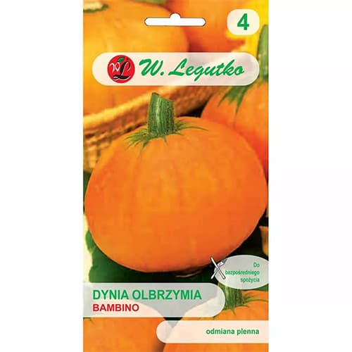 Bambino Giant Pumpkin interface.image 1 interface.art 69461