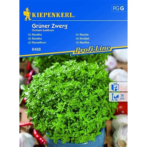 Basiilik Grüner Zwerg interface.image 1 interface.art 86379