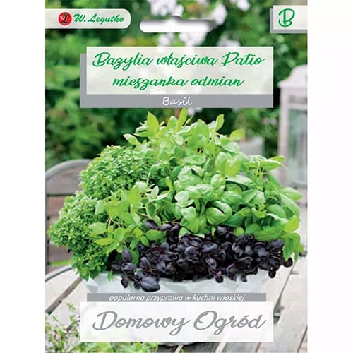 Basiilik - Patio sordisegu interface.image 1 interface.art 69641