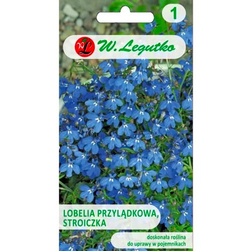 Cape Lobelia (Steple) sinine Legutko interface.art foto 1 Cape Lobelia (Steple) sinine Legutko interface.image 1 interface.art 78573