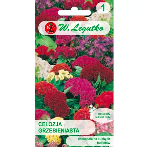 Celosia, segu Legutko interface.art foto 1 Celosia, segu Legutko interface.image 1 interface.art 69573