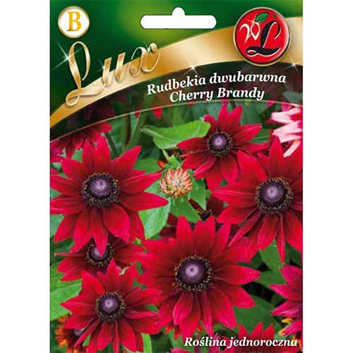 Cherry Brandy kahevärviline rudbeckia interface.art foto 1 Cherry Brandy kahevärviline rudbeckia interface.image 1 interface.art 96777