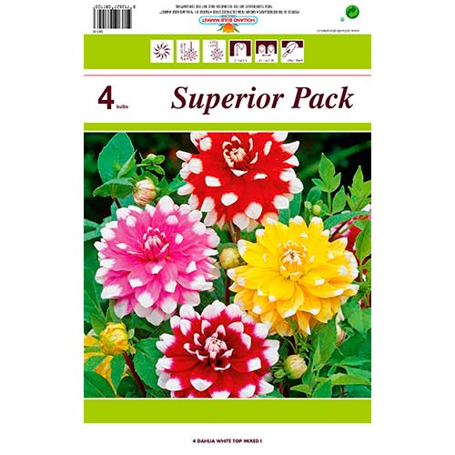 Daalia White Top Mixed interface.image 1 interface.art 76431