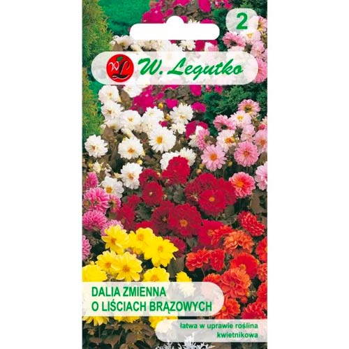 Daaliad Diablo, segu Legutko interface.image 1 interface.art 69579