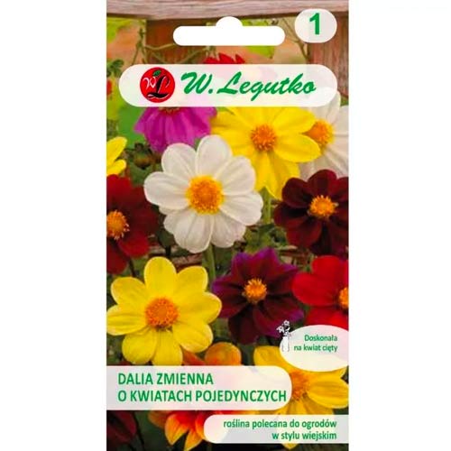 Daaliad, segu Legutko interface.image 1 interface.art 78548