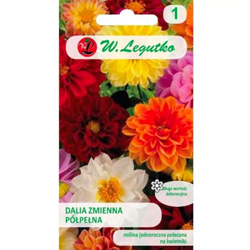 Daaliad Unwins, segu Legutko interface.image 1 interface.art 78549