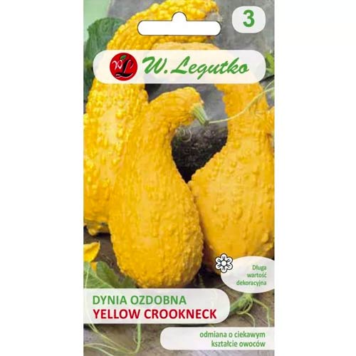 Dekoratiivne kõrvits Yellow Croockneck Legutko interface.art foto 1 Dekoratiivne kõrvits Yellow Croockneck Legutko interface.image 1 interface.art 96739