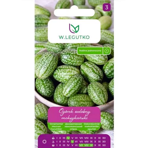 Dekoratiivne mehhiko kurk Legutko interface.image 1 interface.art 69614