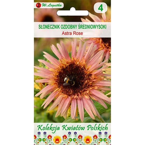 Dekoratiivne päevalill Astra Rose interface.image 1 interface.art 96748