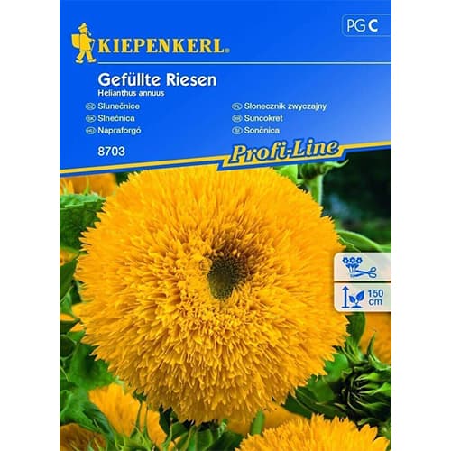 Dekoratiivsed päevalilled Kiepenkerl interface.art foto 1 Dekoratiivsed päevalilled Kiepenkerl interface.image 1 interface.art 96539