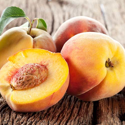 Virsik Fayette interface.image 1 interface.art 4293