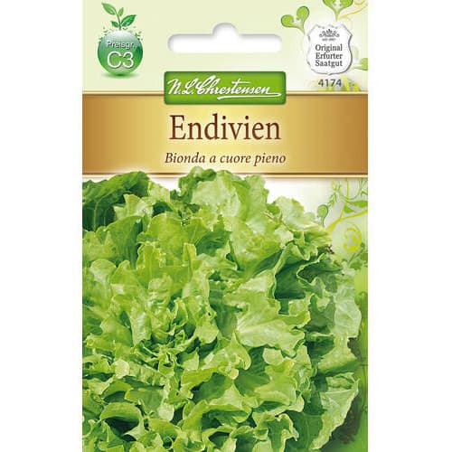 Endiivia Bionda a cuore pieno interface.image 1 interface.art 78763