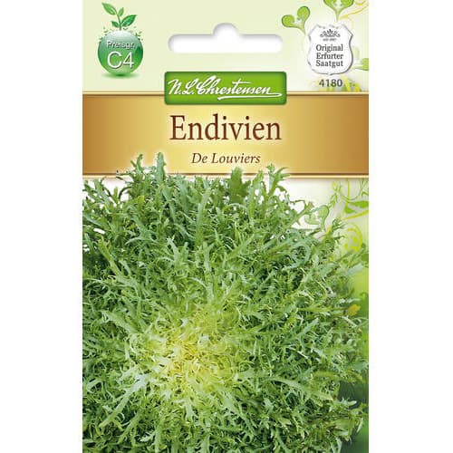 Endiivia De Louviers interface.image 1 interface.art 78765