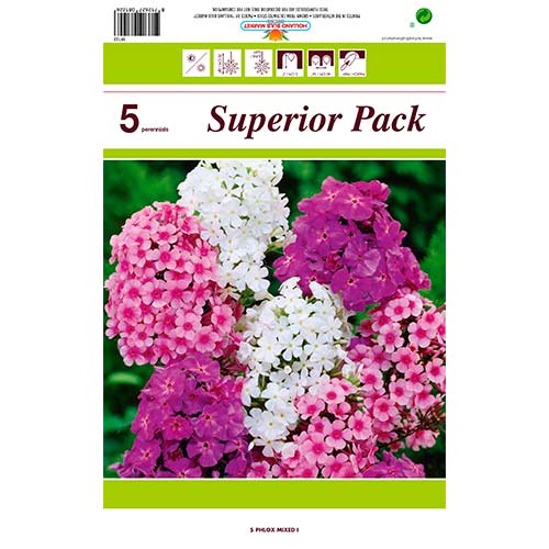 Floks Mixed interface.image 1 interface.art 76491