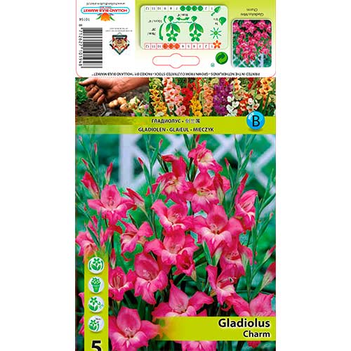 Gladiool mini Charm interface.art foto 1 Gladiool mini Charm interface.image 1 interface.art 76330