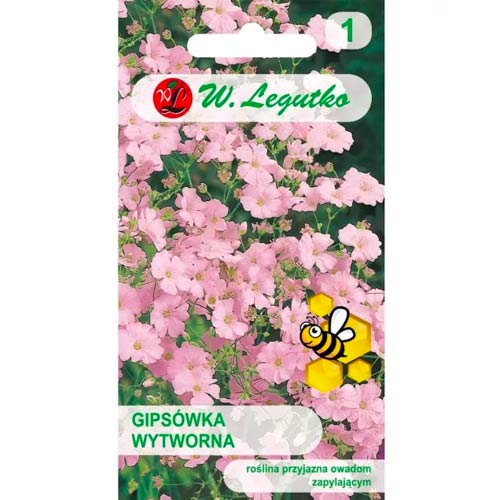 Gypsophila elegantne roosa Legutko interface.art foto 1 Gypsophila elegantne roosa Legutko interface.image 1 interface.art 78556