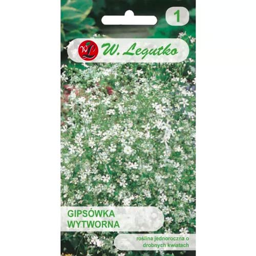 Gypsophila elegantne valge Legutko interface.art foto 1 Gypsophila elegantne valge Legutko interface.image 1 interface.art 78555