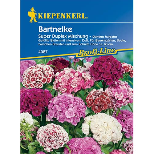 Habenelgid Duplika interface.art foto 1 Habenelgid Duplika interface.image 1 interface.art 86250