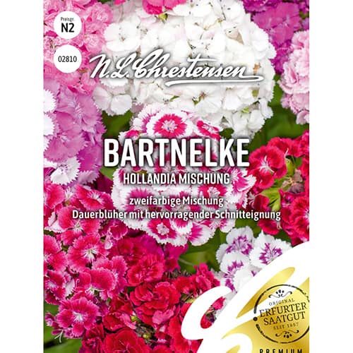 Habenelgid Hollandia, segu interface.image 1 interface.art 86123