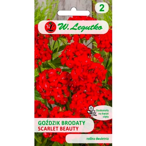 Habenelgid Scarlet Beauty Legutko interface.art foto 1 Habenelgid Scarlet Beauty Legutko interface.image 1 interface.art 69591