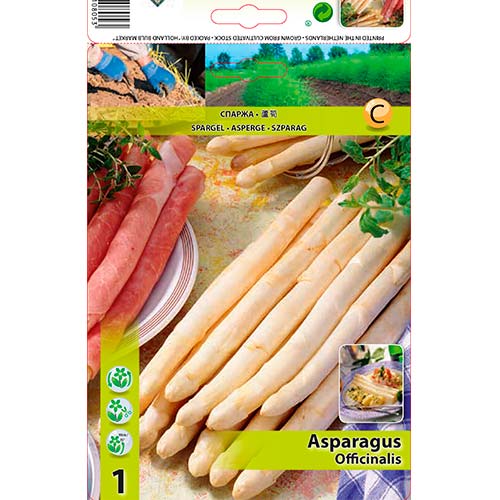 Harilik aspar (Asparagus) interface.art foto 1 Harilik aspar (Asparagus) interface.image 1 interface.art 70501