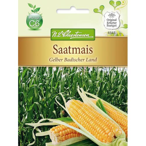 Harilik mais interface.image 1 interface.art 78883