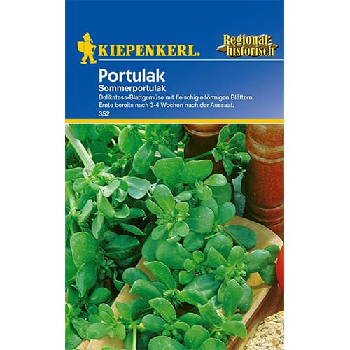 Harilik portulak interface.image 1 interface.art 77412