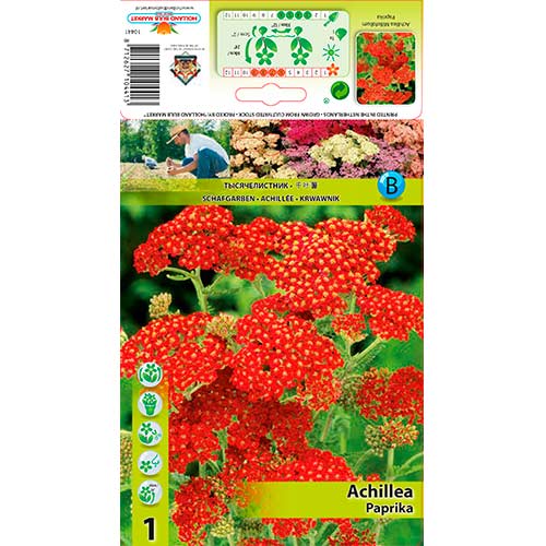 Harilik raudrohi Paprika interface.art foto 1 Harilik raudrohi Paprika interface.image 1 interface.art 76154