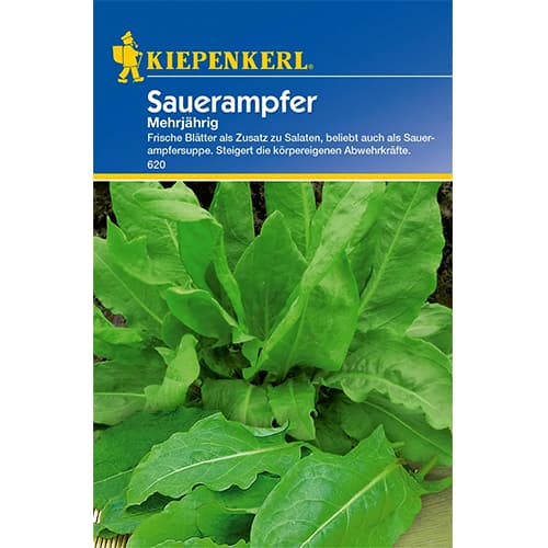 Harilikud oblikad interface.art foto 1 Harilikud oblikad interface.image 1 interface.art 77474