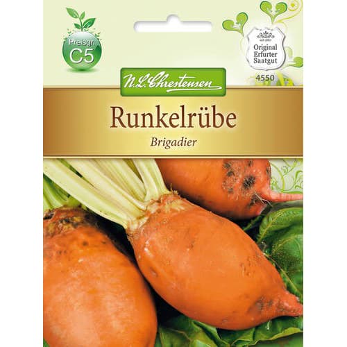 Harilikud peedid Brigadier interface.art foto 1 Harilikud peedid Brigadier interface.image 1 interface.art 78880