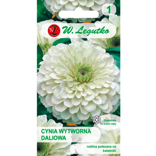 Harilikud pruudisõled Polar Bear Legutko interface.image 1 interface.art 78540