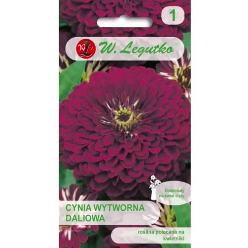 Harilikud pruudisõled Violet Queen Legutko interface.image 1 interface.art 69577