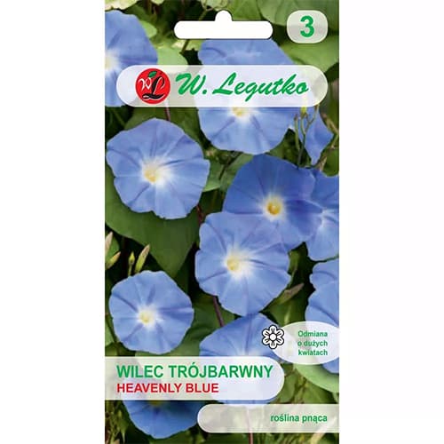 Heavenly Blue Gentianthus (koonilill) Heavenly Blue interface.image 1 interface.art 78595