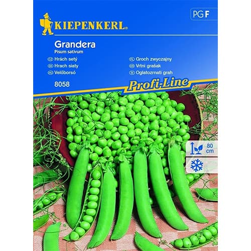 Herned Grandera interface.art foto 1 Herned Grandera interface.image 1 interface.art 77477
