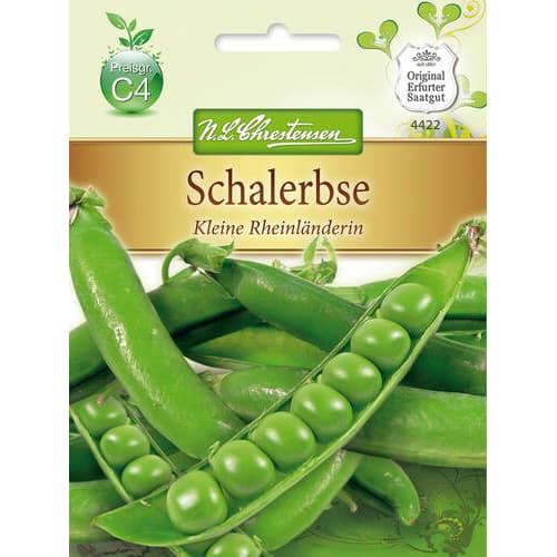 Herned Kleine Rheinlanderin interface.image 1 interface.art 78842