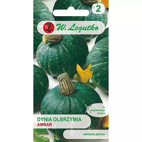 Hiiglaslik kõrvits Ambar interface.image 1 interface.art 78453