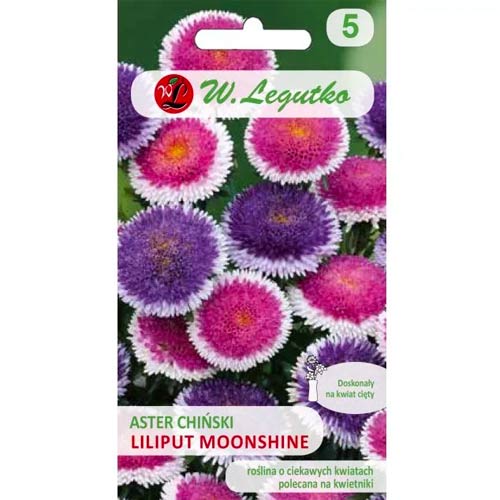 Hiina aster Liliput Moonshine Legutko interface.art foto 1 Hiina aster Liliput Moonshine Legutko interface.image 1 interface.art 69563