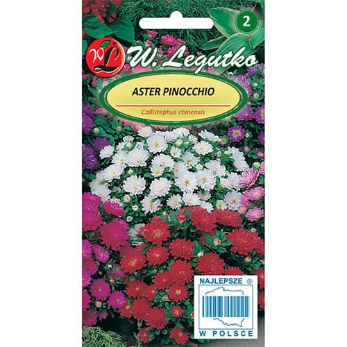 Hiina kääbusster Pinocchio, segu interface.art foto 1 Hiina kääbusster Pinocchio, segu interface.image 1 interface.art 86813